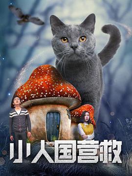 完结完整版观看