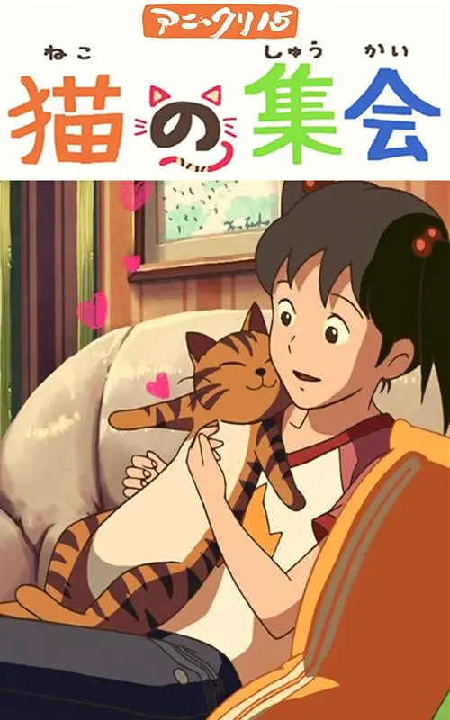 手机免费播放