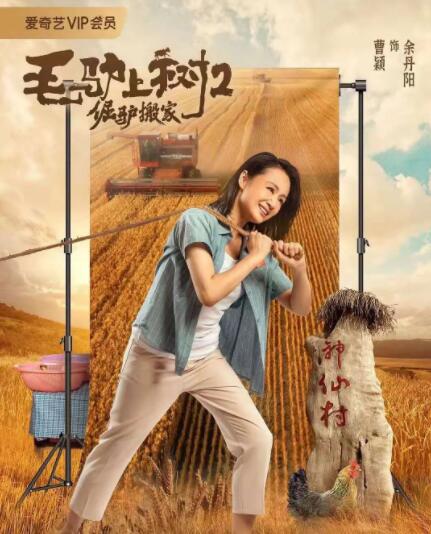 手机在线观看