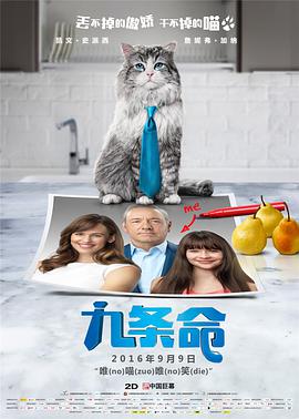 1080HD高清在线观看