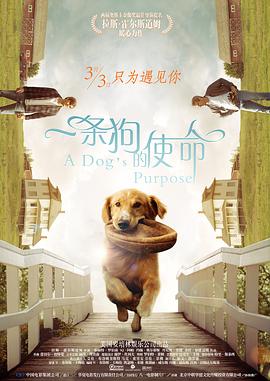 蓝光压制