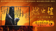 全集在线观看