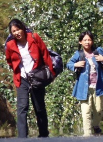 最近国语在线观看
