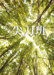蓝光原盘