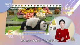 杜比视界